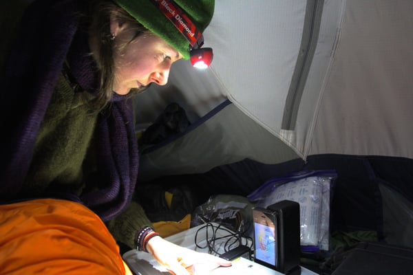 Tracie Seimon, Molecular Scientist at Wildlife Conservation Society, using Biomeme's PCR thermocycler out in the field. She is leading our collaboration to study CDV in Amur tigers. 