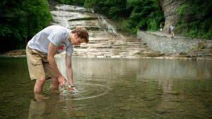 PHOTO CREDIT LINDSAY HADLOCK / CORNELL UNIVERSITY