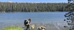 Biomeme Goes West to Yosemite