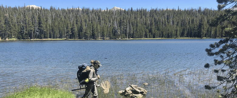 Yosemite field research with Biomeme-1